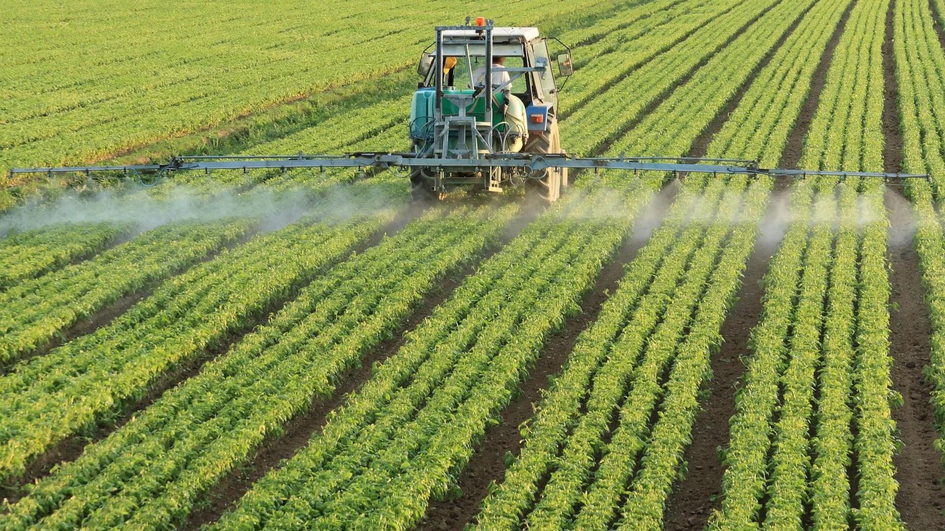 PvdD: ‘Bescherm Zuid-Hollanders en natuur tegen pesticiden’
