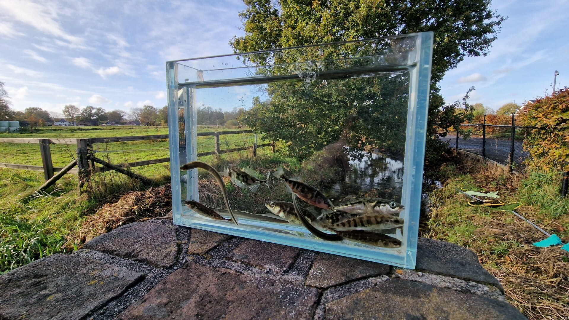Visstroperij in De Hank bij toeval ontdekt