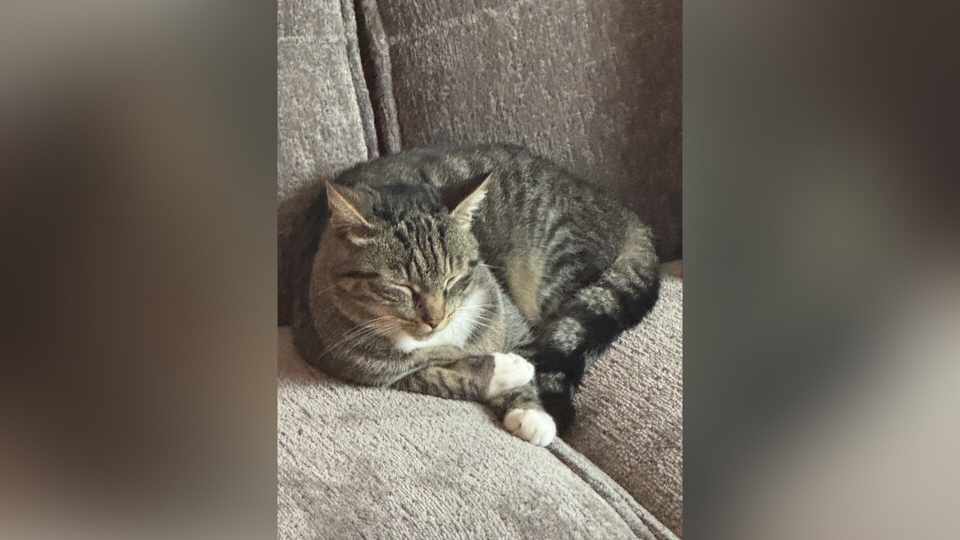 Kleine held, groot verschil