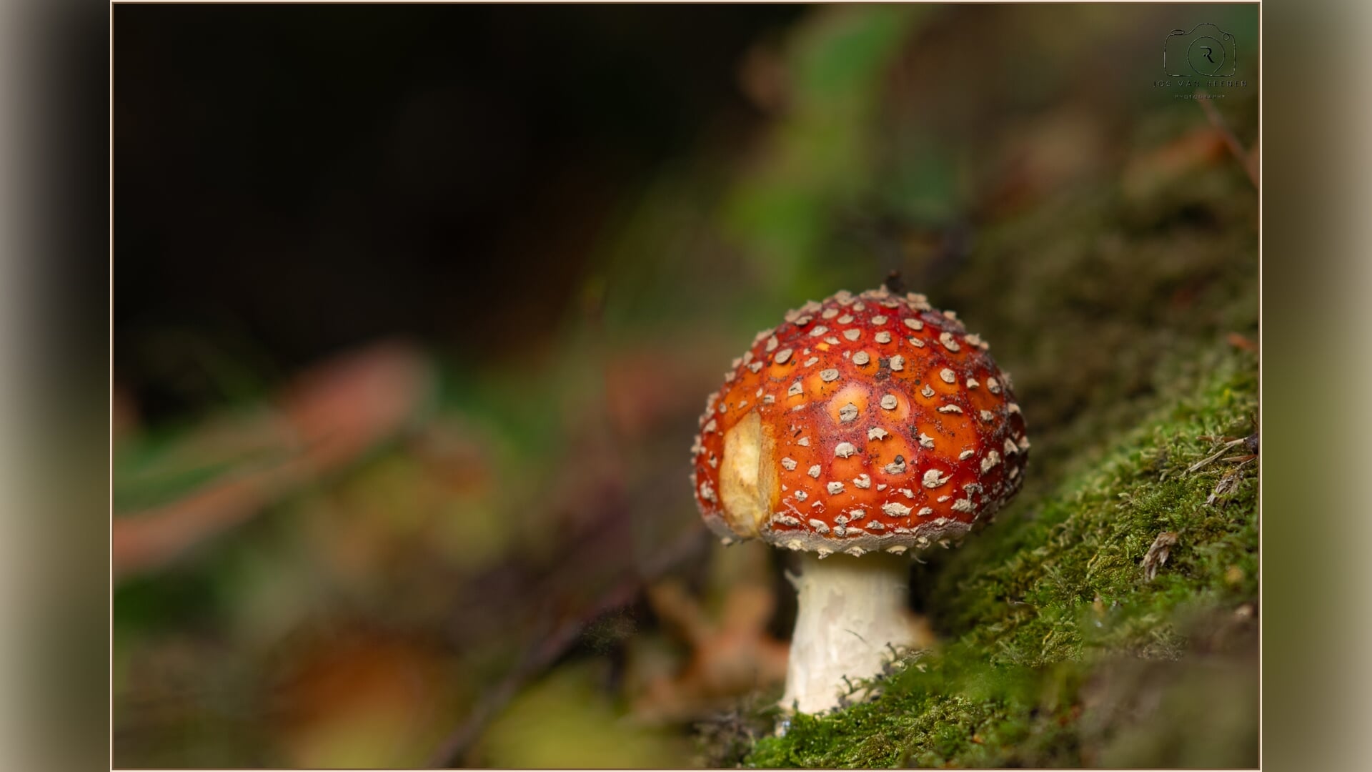Foto van de week door Jos