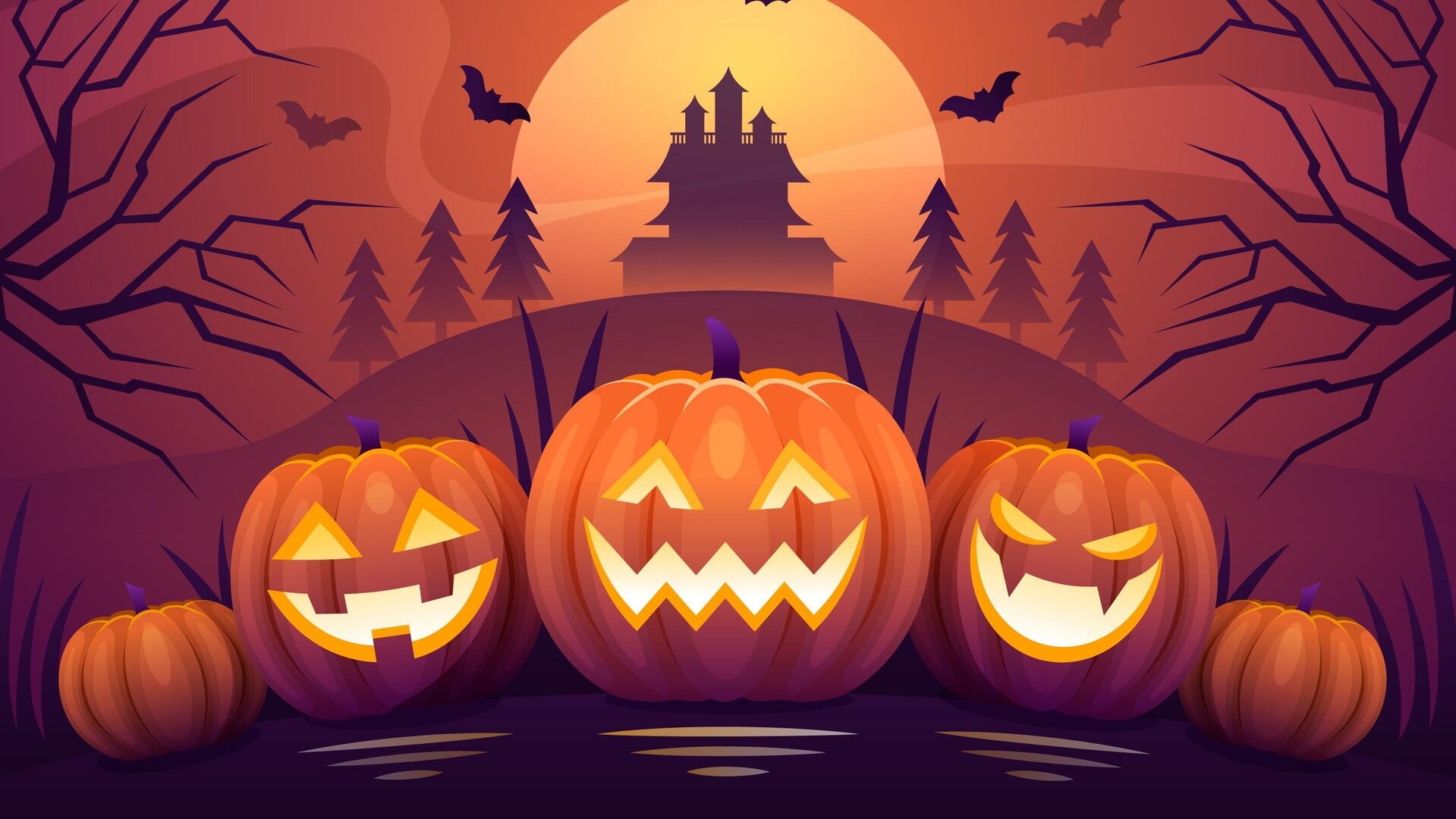 Wat is er te doen in de regio?