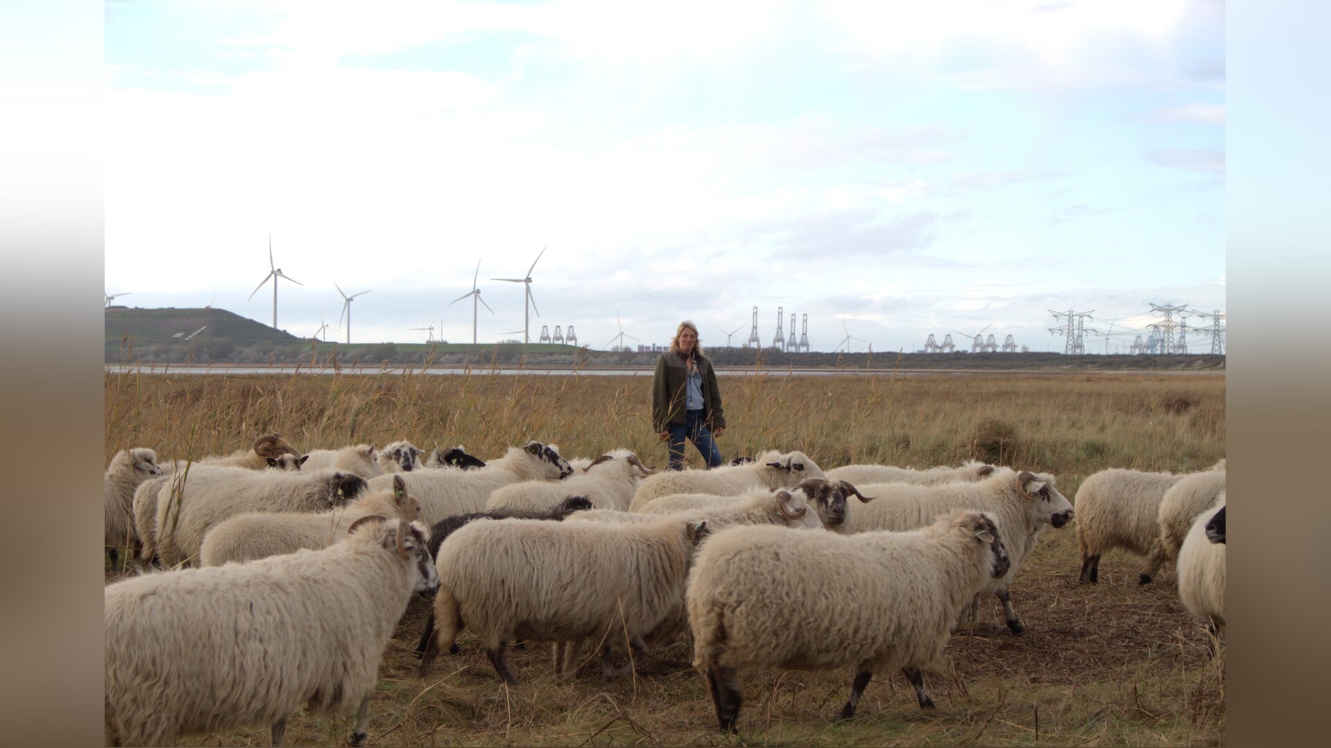 Schaapsherderin Carlette met haar “zooitje ongeregeld”