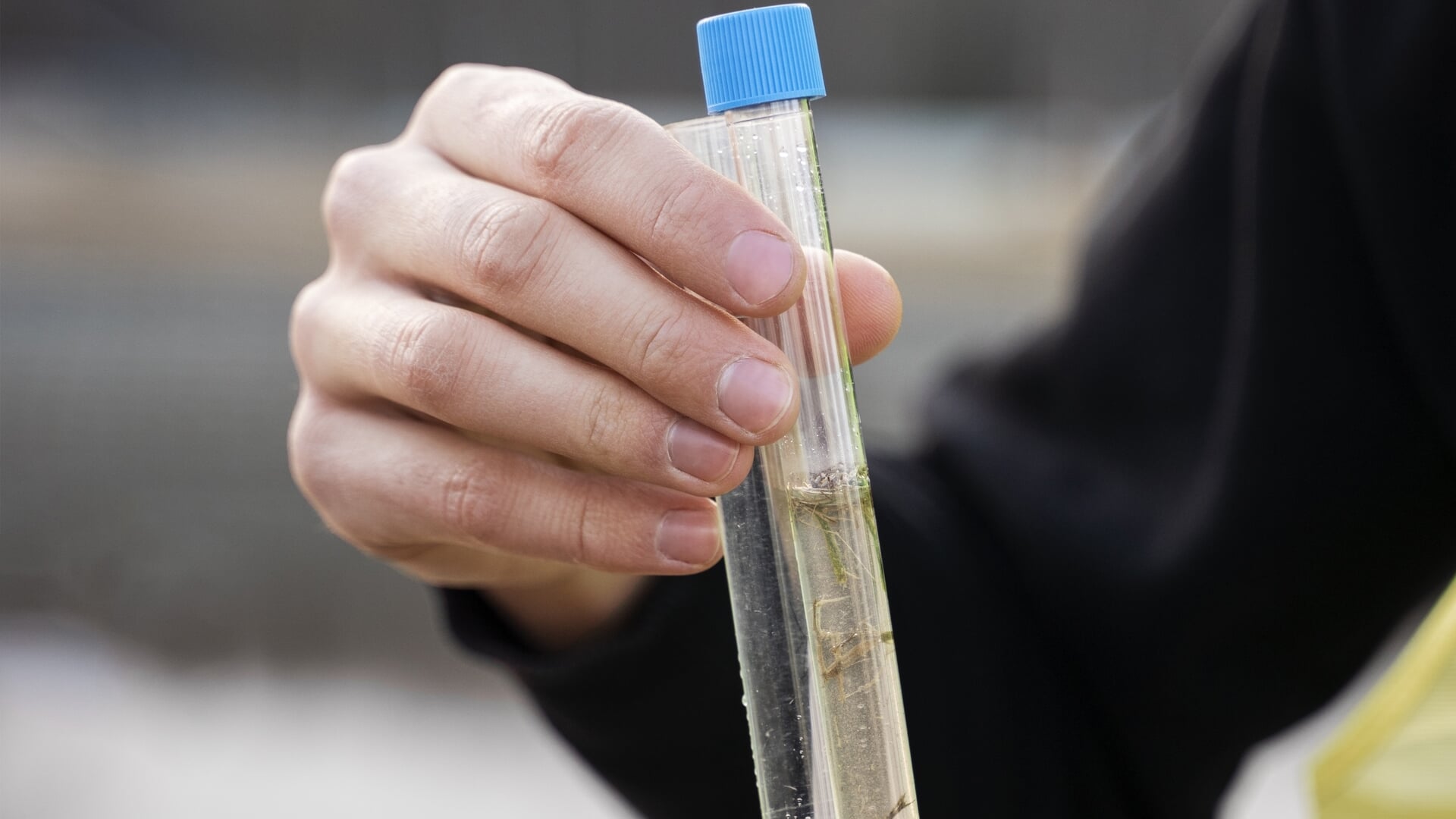 Water Natuurlijk: Lozing PFAS-gif moet stoppen - Adverteren Brielle ...