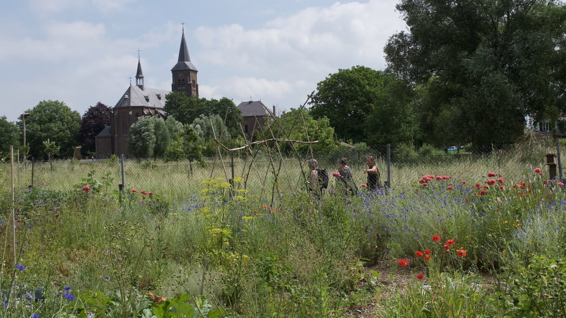 Open dag Ooijse Velt: maak kennis met moestuinen en voedselbosgaard