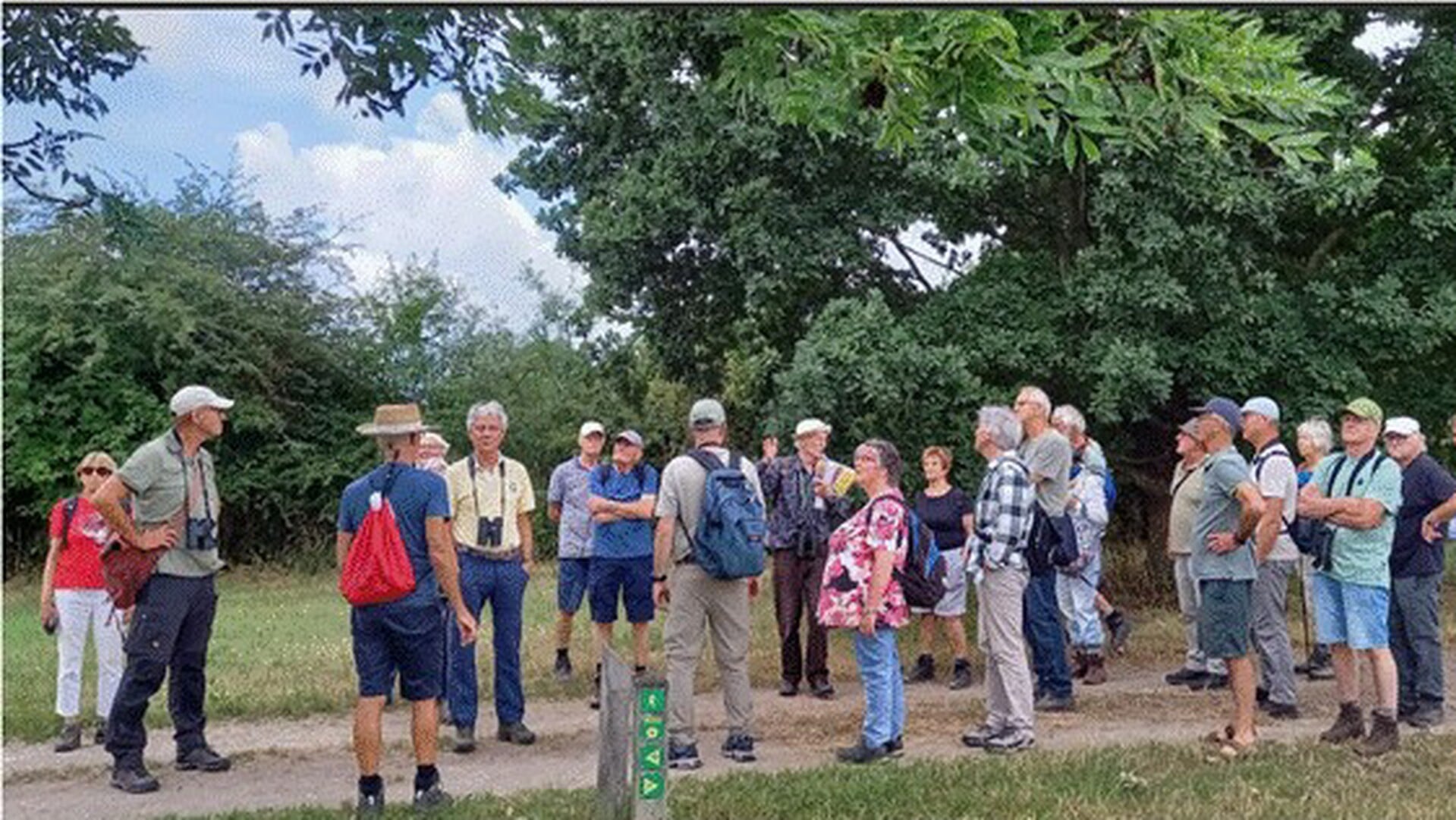 Natuurwandeling door De Bruuk