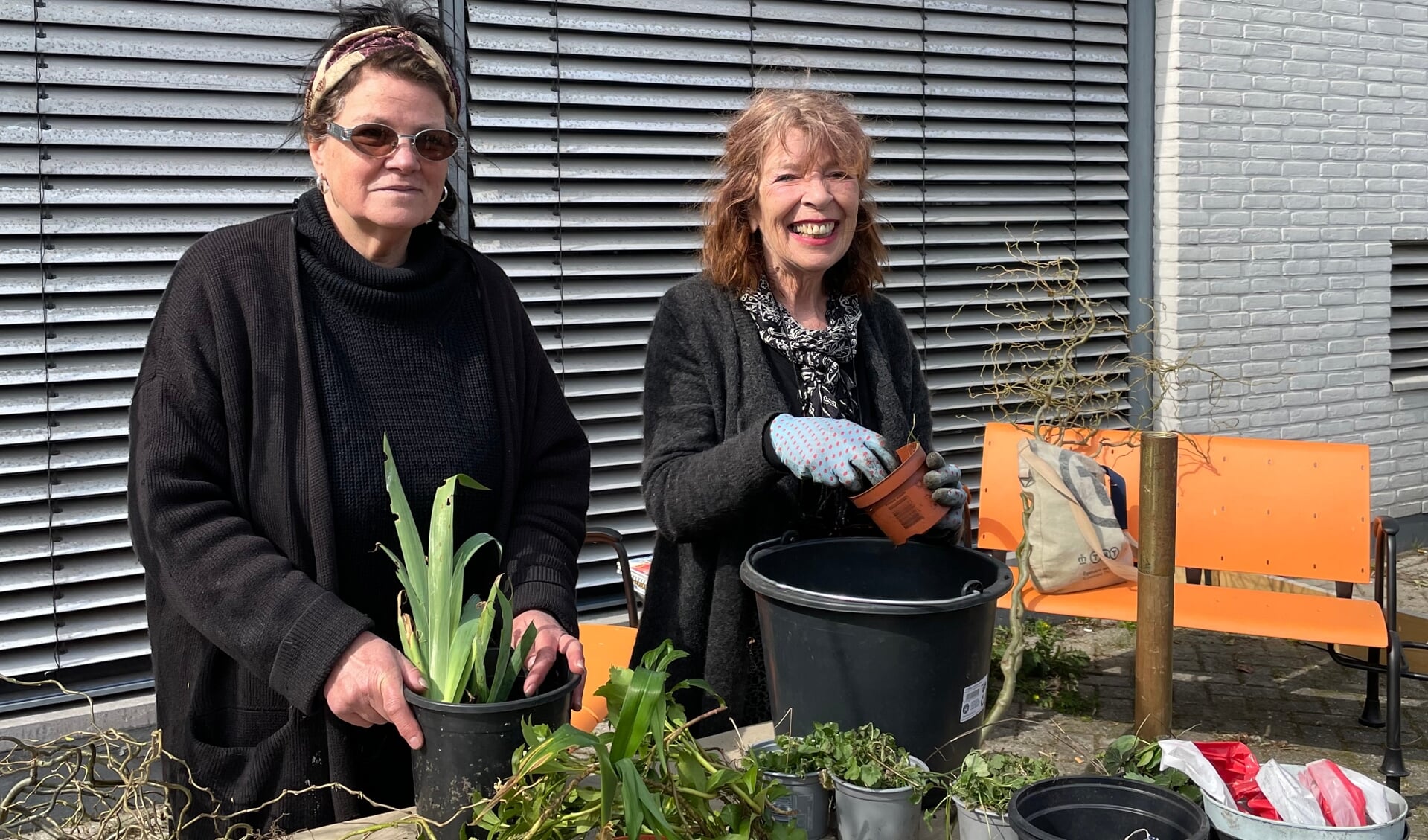 Het Succes Van De Tuinplantenkringloop ‘iedereen Mag Gratis Planten Halen Of Brengen 8607