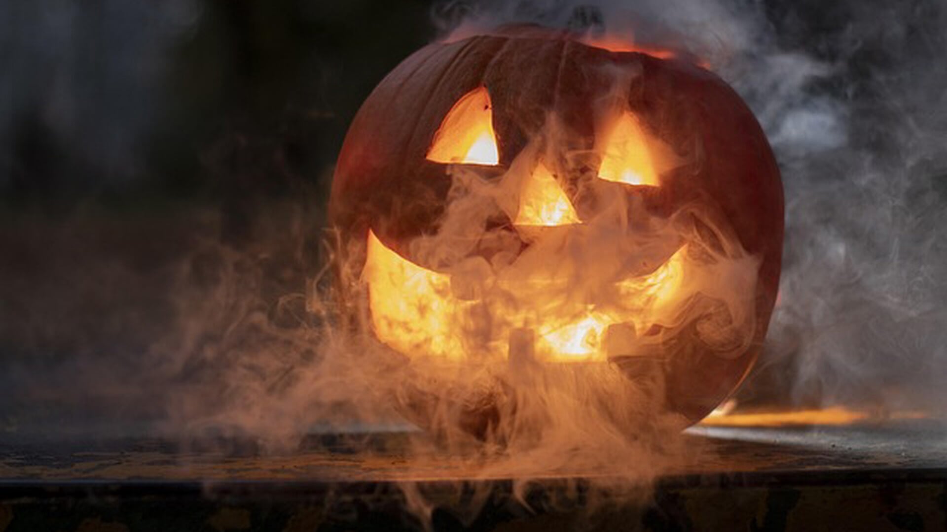 Halloween Dieren