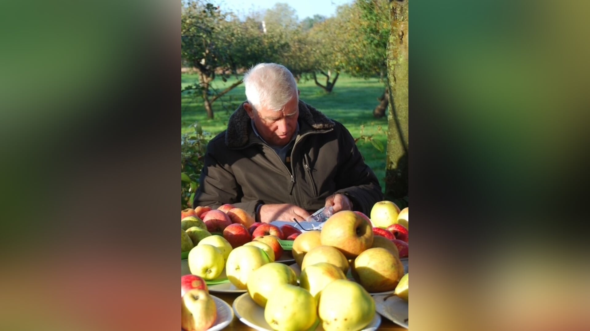 Determinatiedag van oude fruitrassen