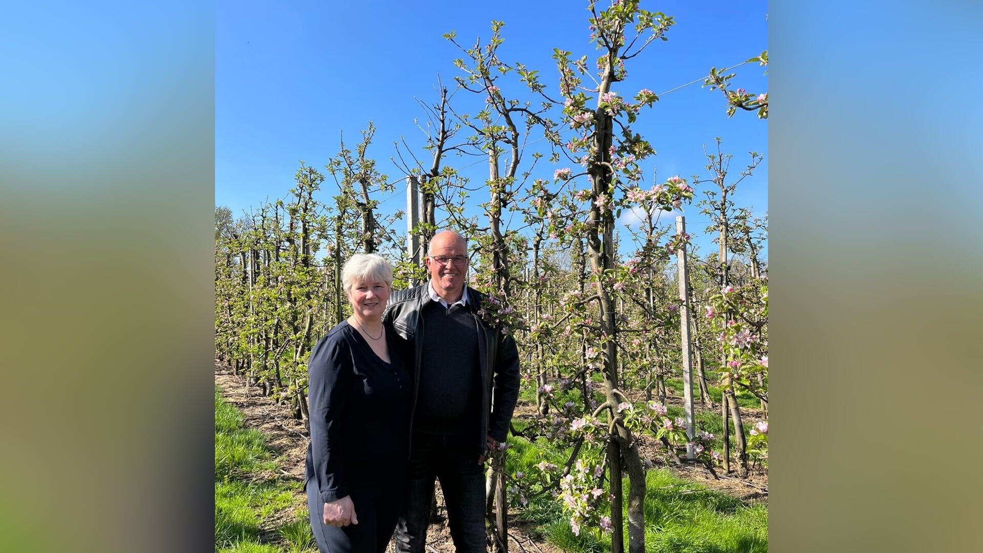 Fruitteeltbedrijf Van Schip houdt Appelplukdag