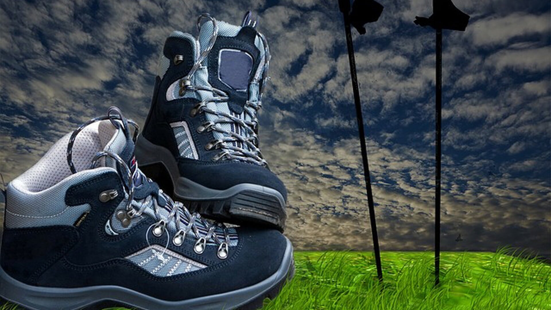 Beginnerscursus Nordic Walking