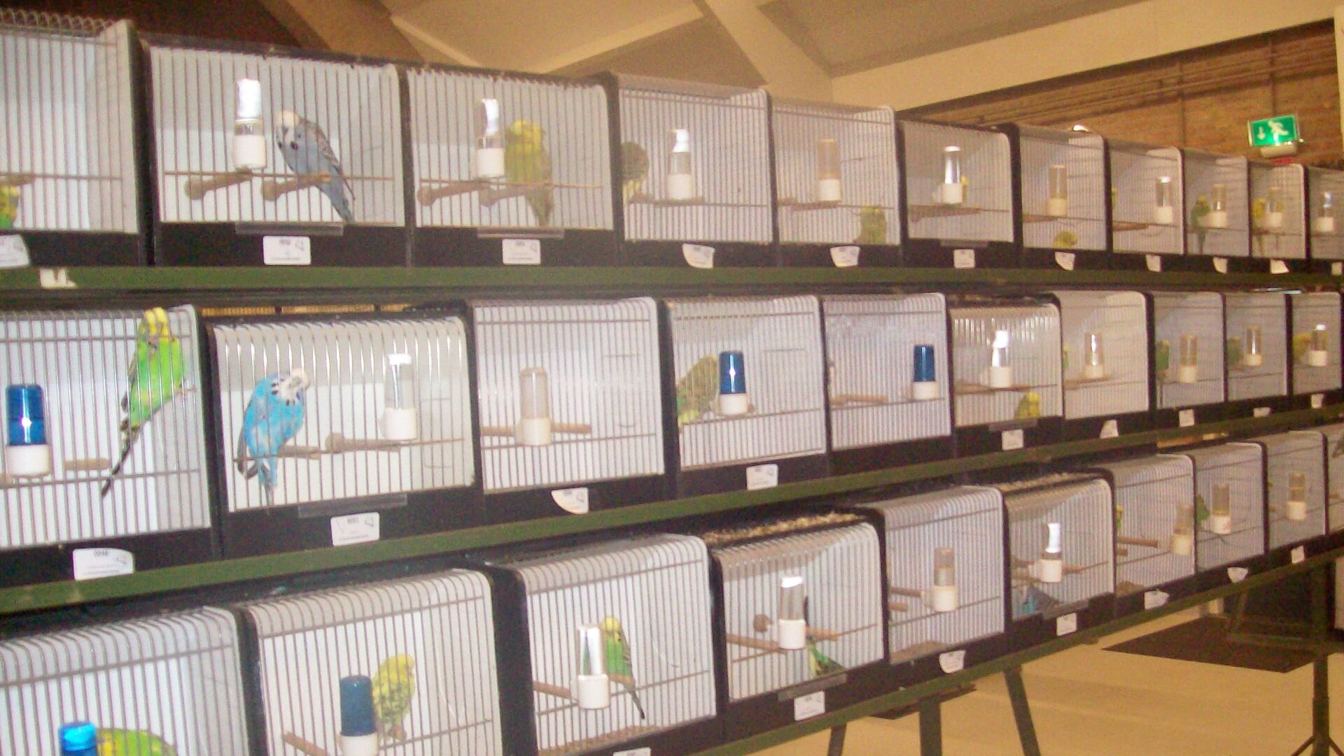 Vogelshow Tot Ons Genoegen en Vogelvreugd