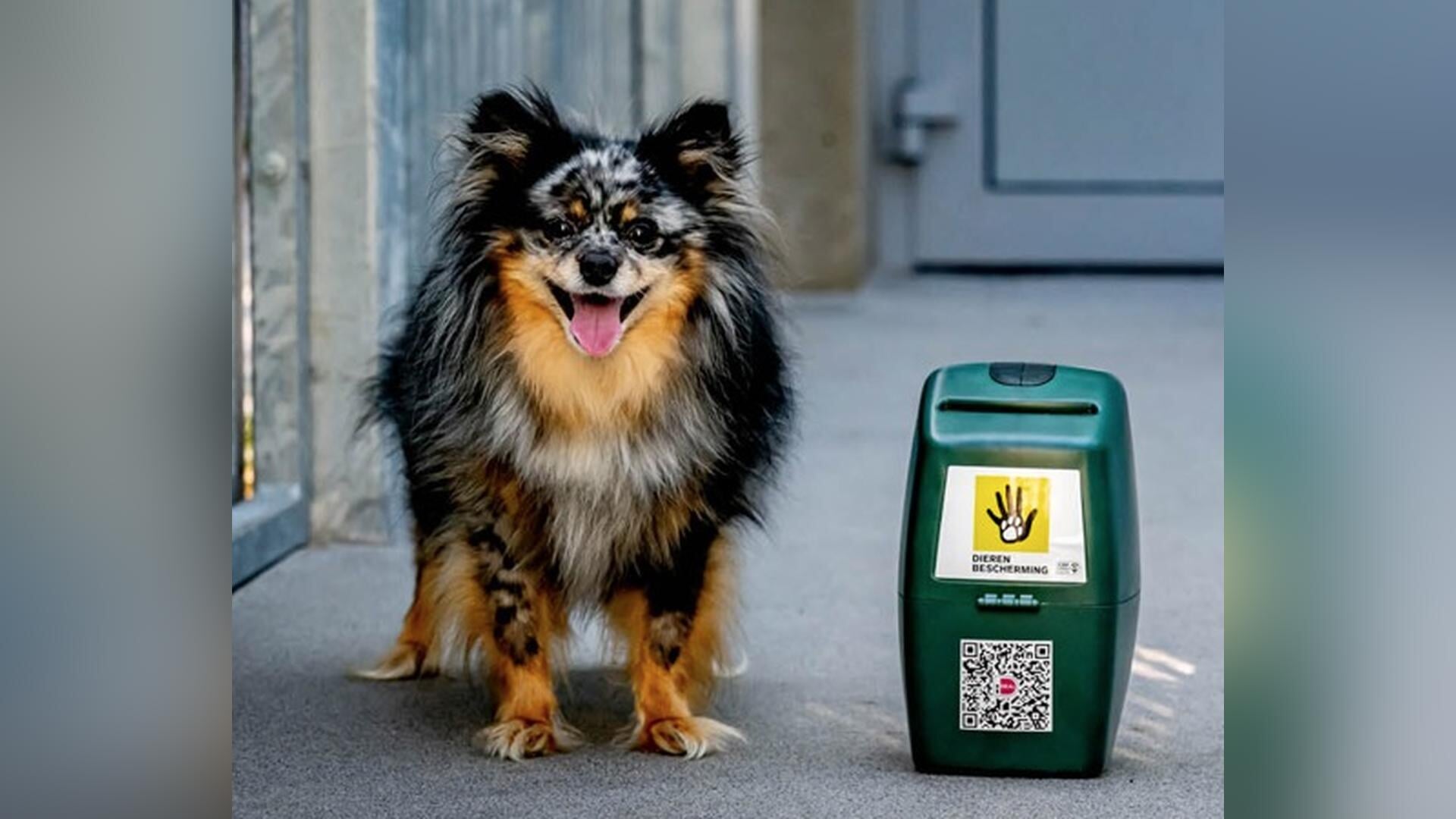 Bijzondere collecte dierenbescherming