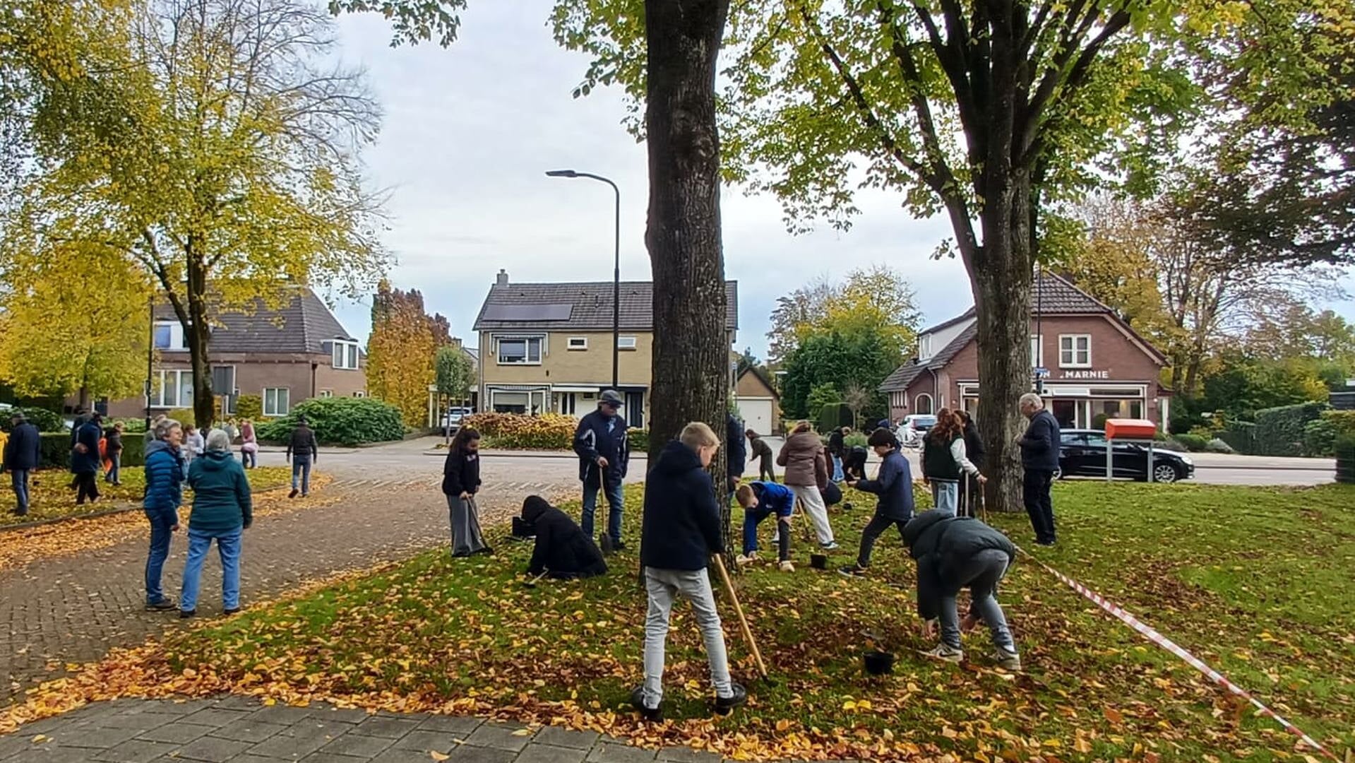 Krokusbollen planten door schoolkinderen in Loenen
