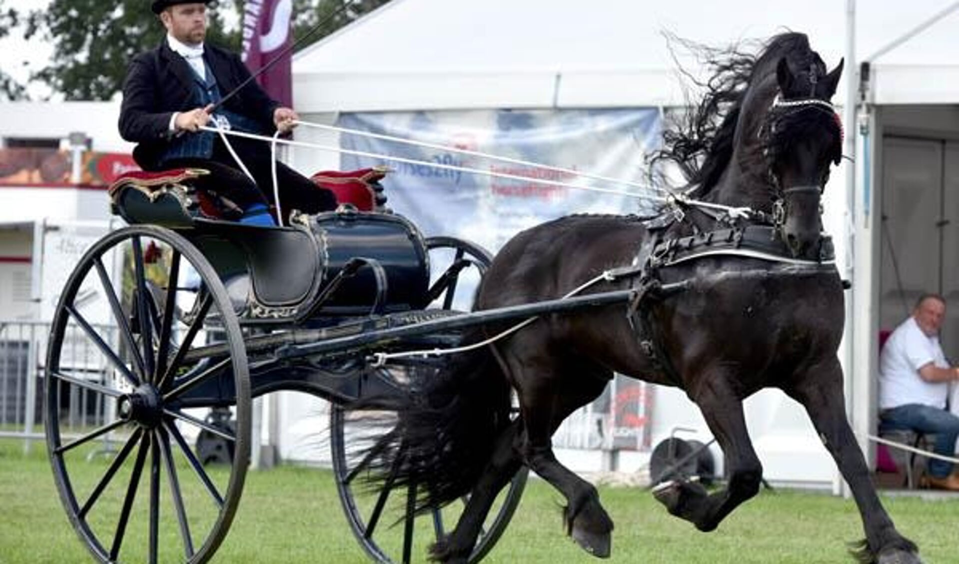 Concours hippique Drogeham trekt 6000 bezoekers