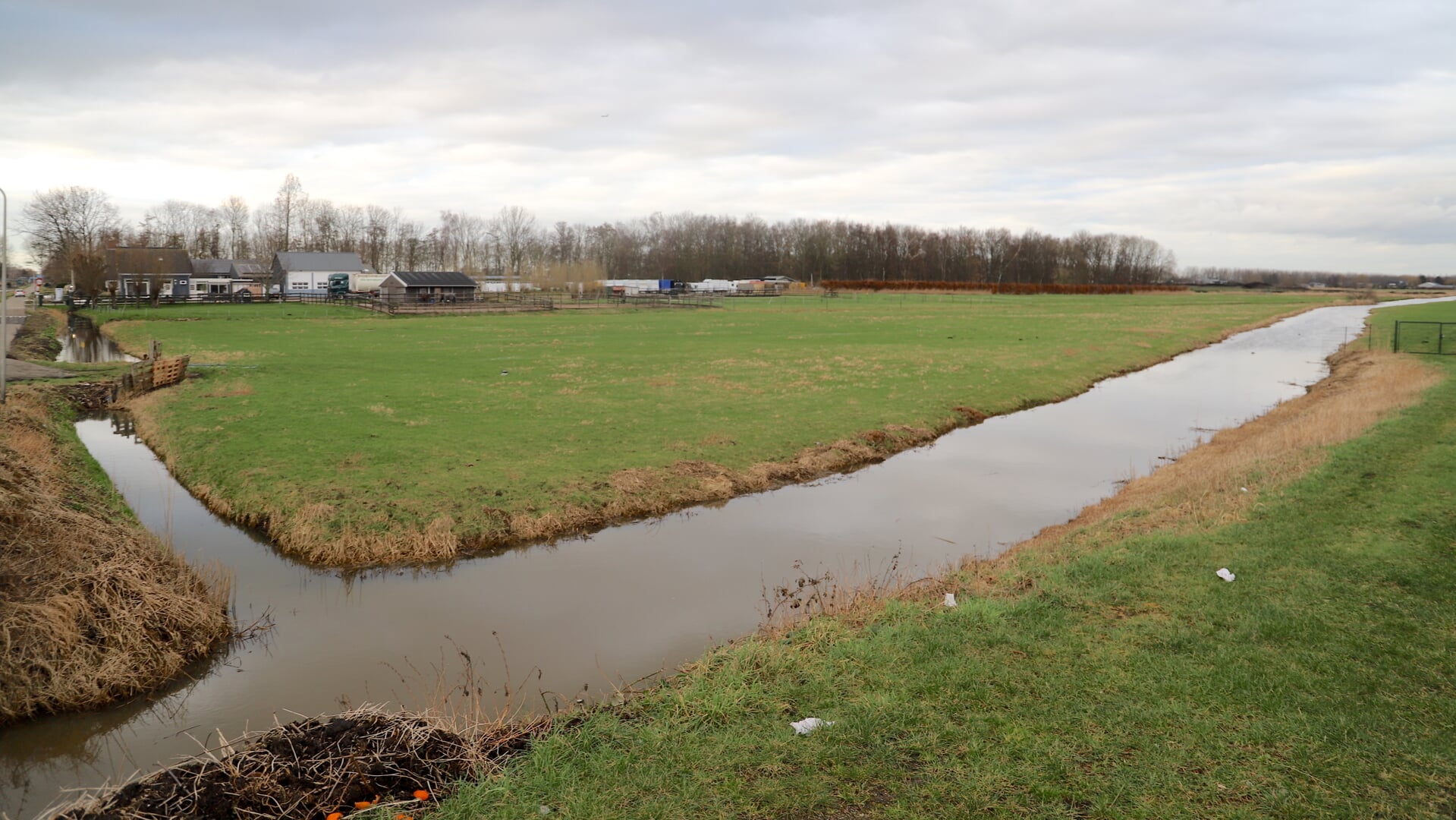 ‘Geen Grutto Tussen De Zonnepanelen’ - Al Het Nieuws Uit Zuidplas