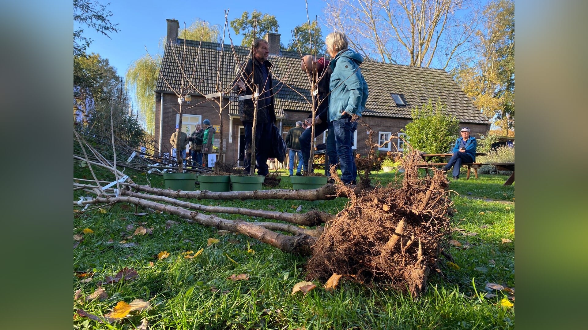 Wandel mee op BoompjesSafari: leer meer over de giganten in jouw wijk