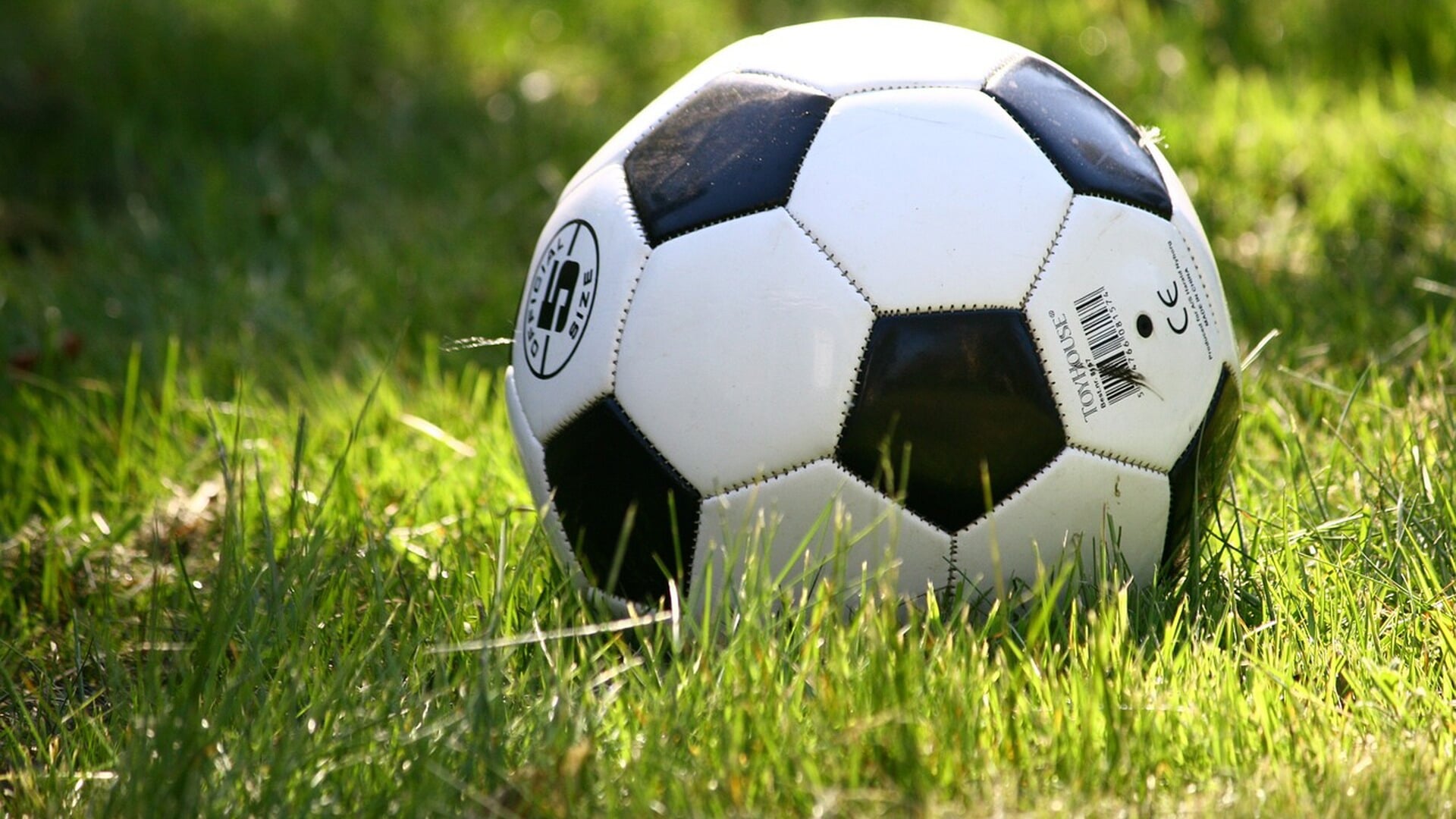 Voetbalprogramma tot en met 9 november DVV, SC Groessen en SV Loo