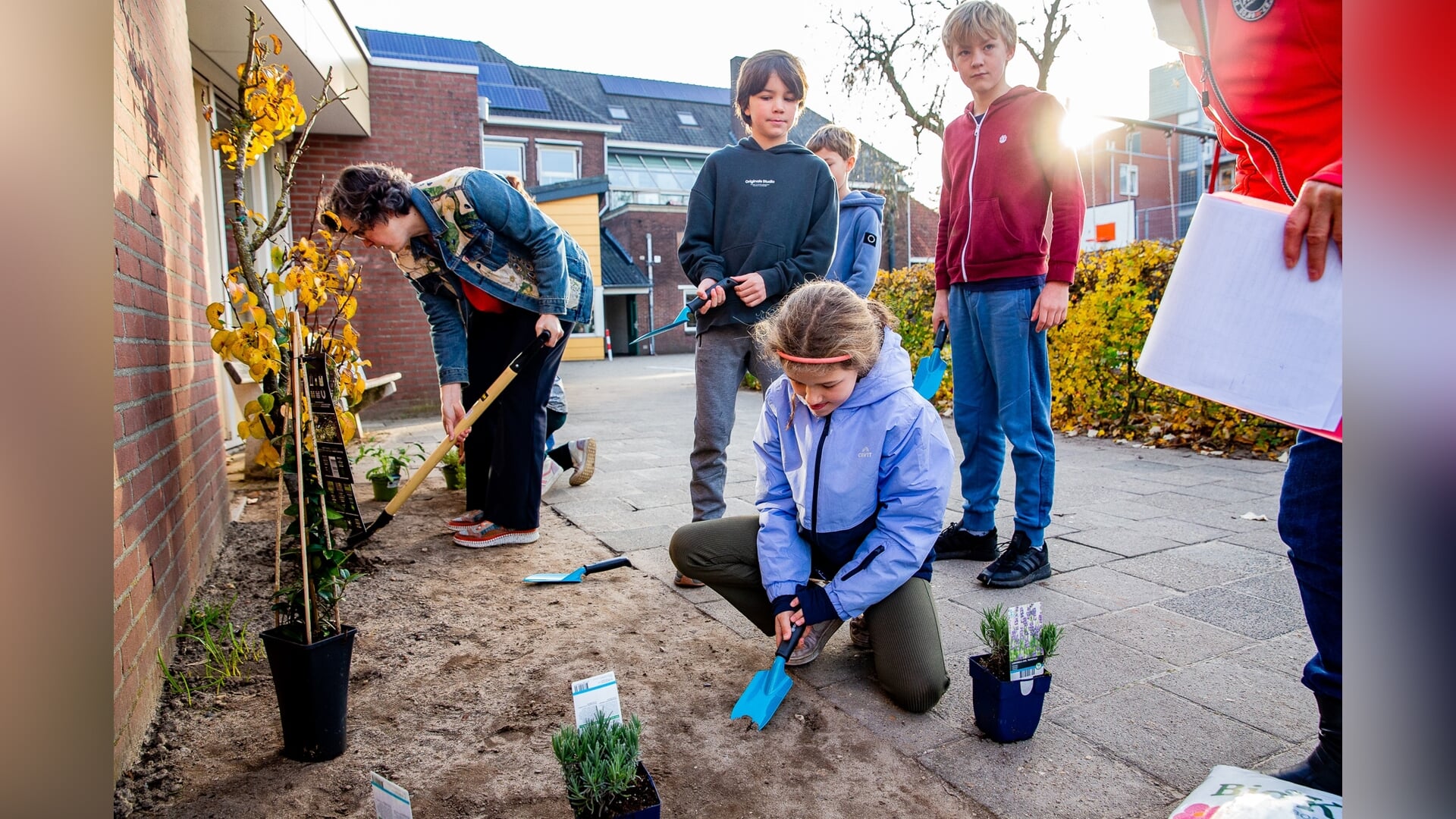 Meer groen op schoolplein basisschool Montessori Nijmegen Oost