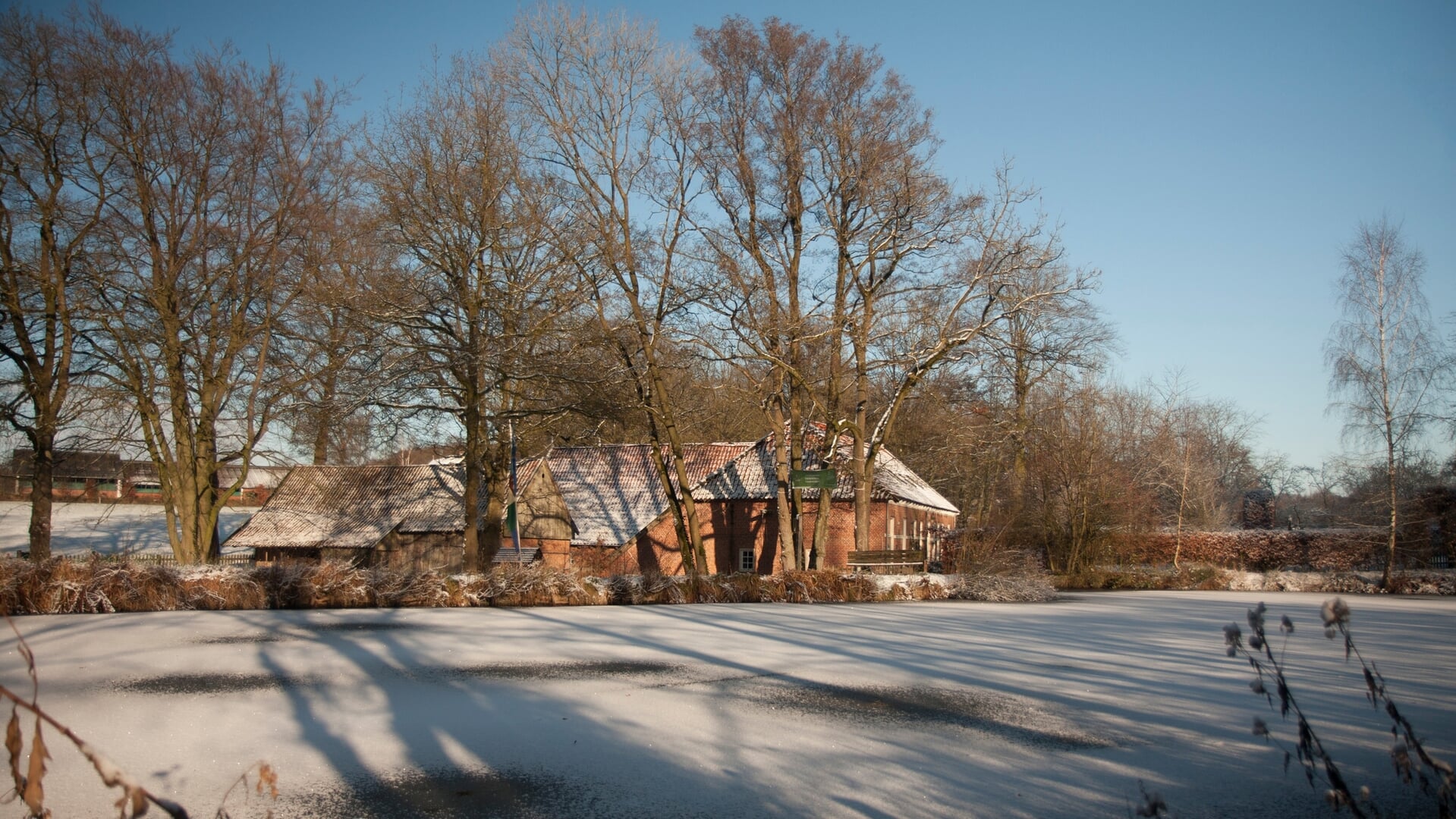 Nieuwjaarswandeling in het Dal van de Mosbeek