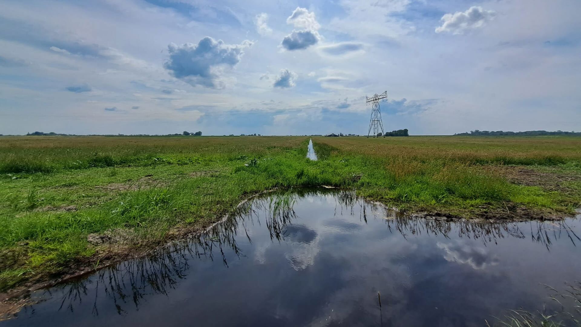 Barsbekerbinnenpolder beter ingericht voor weidevogels: ‘Samenwerking goed voor de natuur én de agra