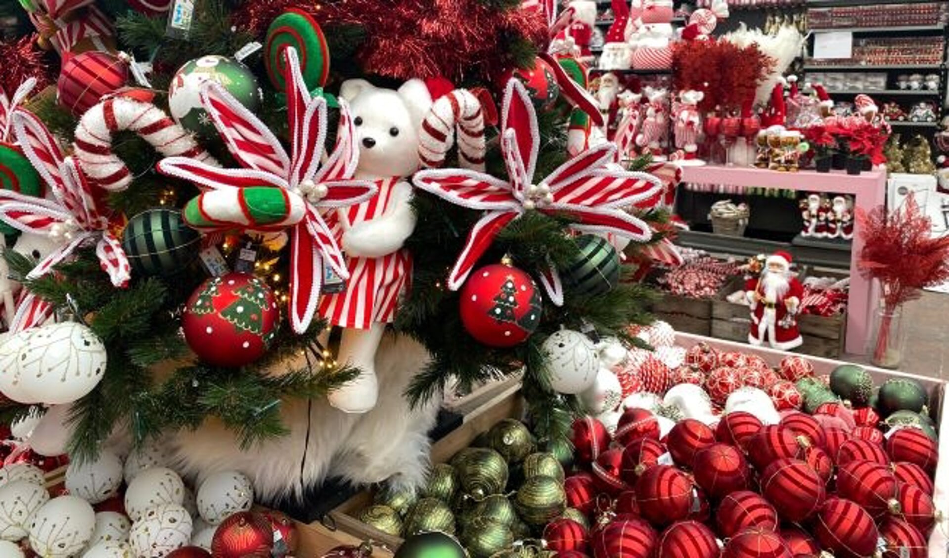 Magische kerst bij Intratuin Rhoon - Adverteren Rotterdam | De ...