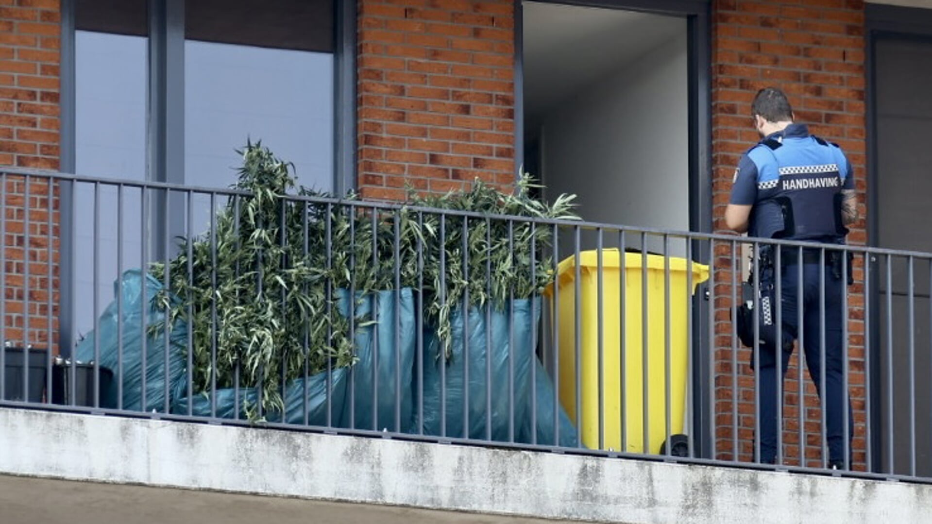 Groot aantal hennepplanten aangetroffen bij kwekerij in Cuijks appartement