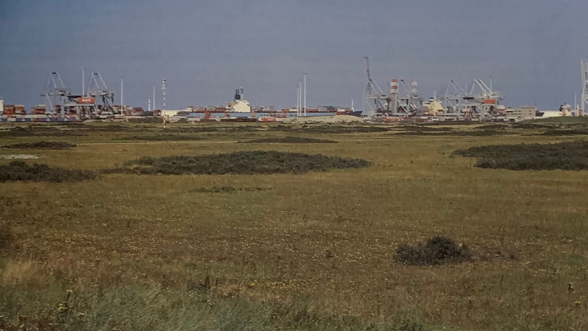 Rotterdam Van 19TOEN In Beeld Eerste Maasvlakte Adverteren Rotterdam 