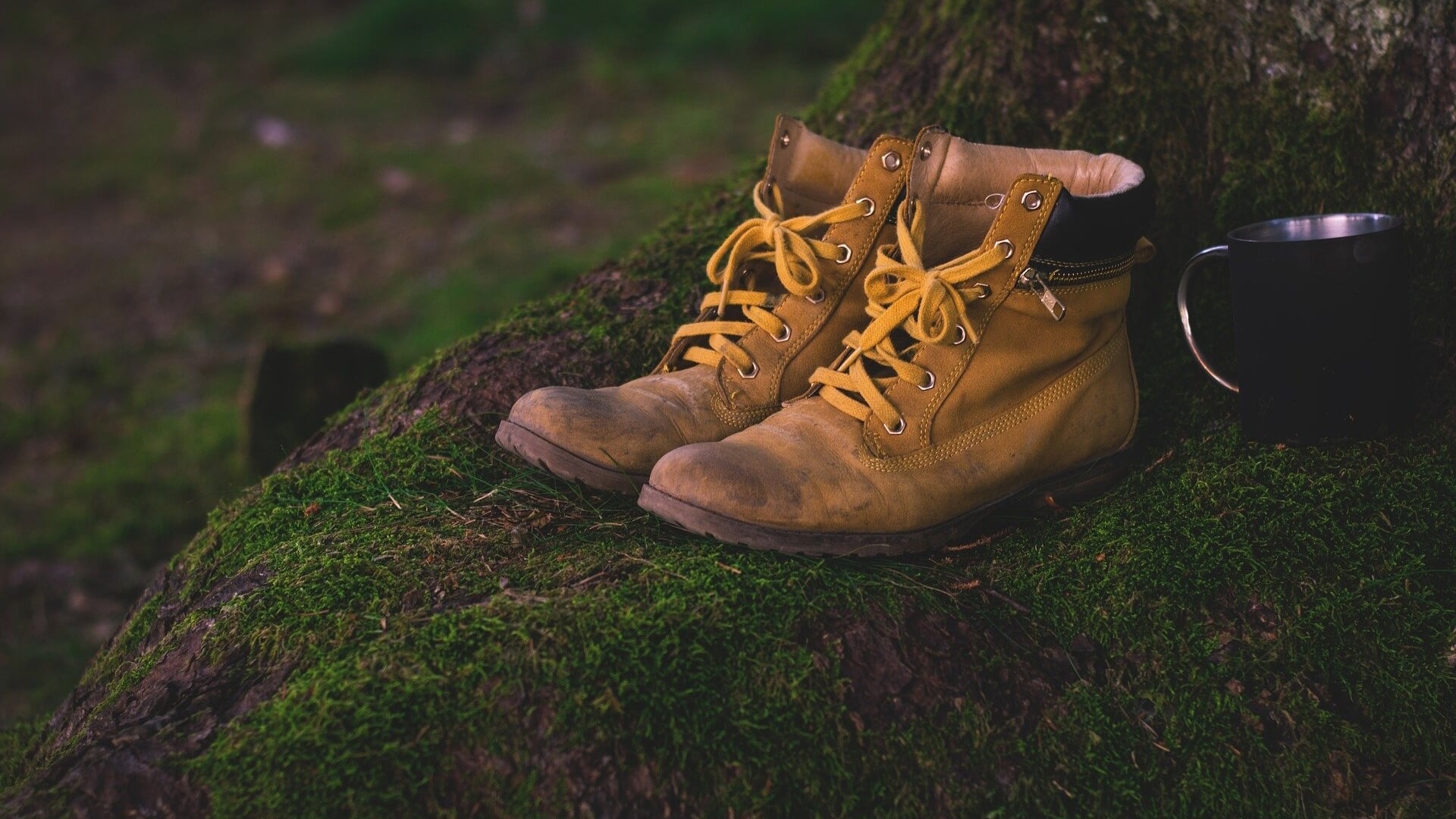 Winterse Wandeling Vanaf Groene Poort In Landhorst - Adverteren Boxmeer 