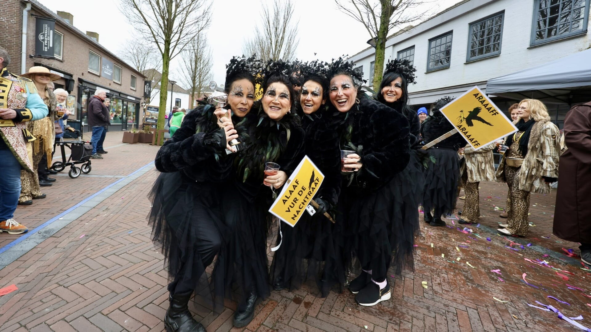 Doe ook mee aan grote carnavalsoptocht in Mill