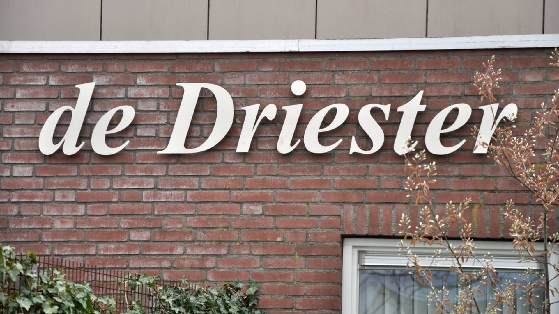 Toneel in de Driester: ‘Zo’n heerlijk huisje buiten’