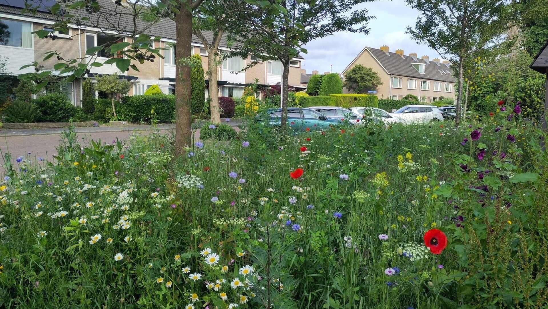 Voorschoten heeft groene ambities maar te weinig geld voor onderhoud