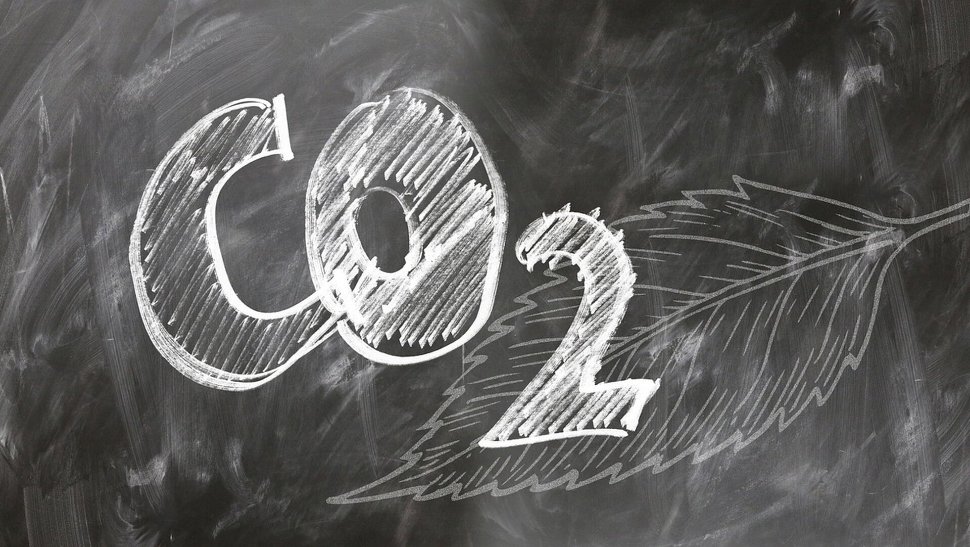 CO2 verwijderen door injecteren van maaisel uit De Wieden - De Kop | Al het nieuws uit Steenwijkerla