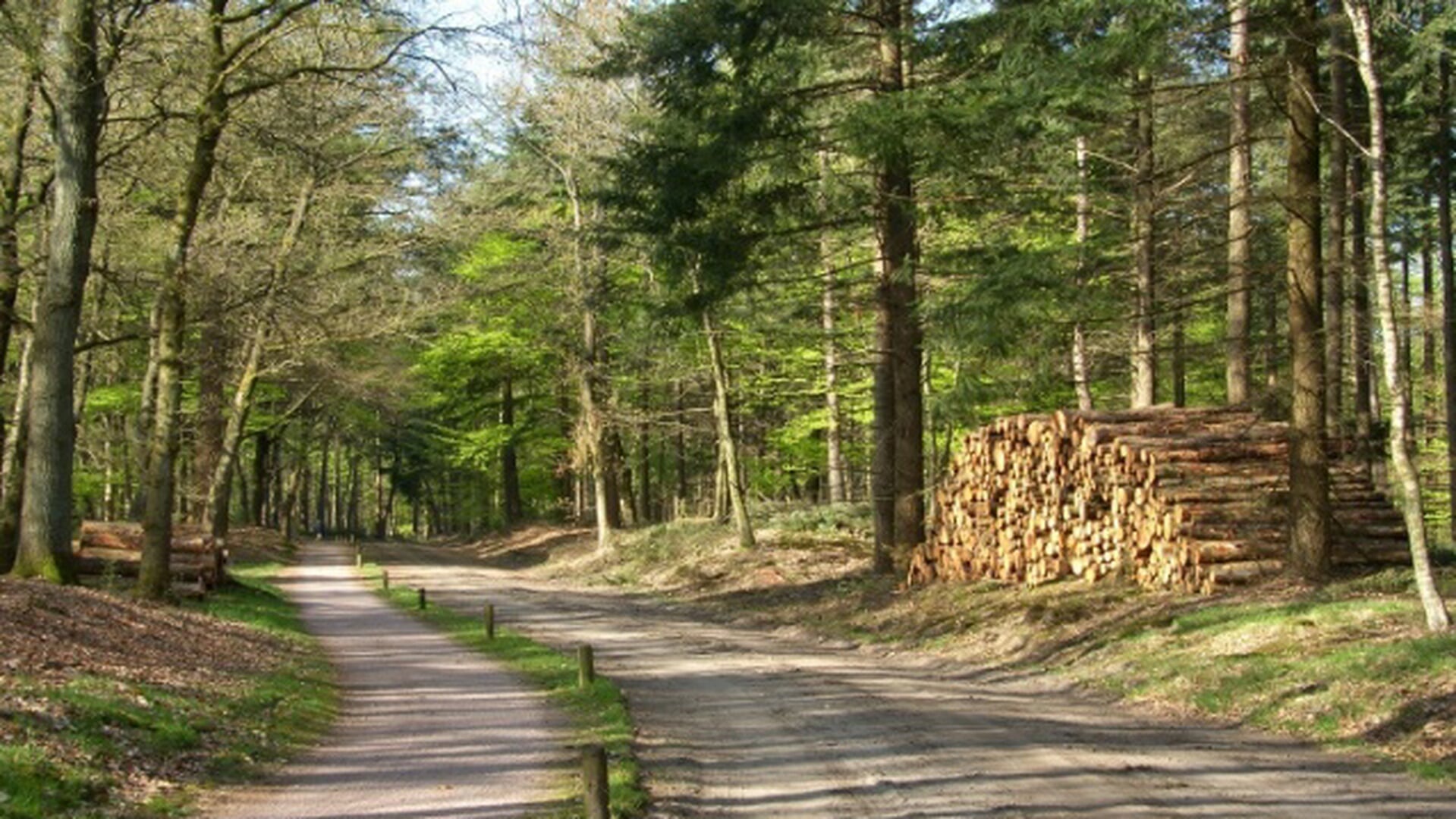 De Sallandse Heuveltocht komt eraan!