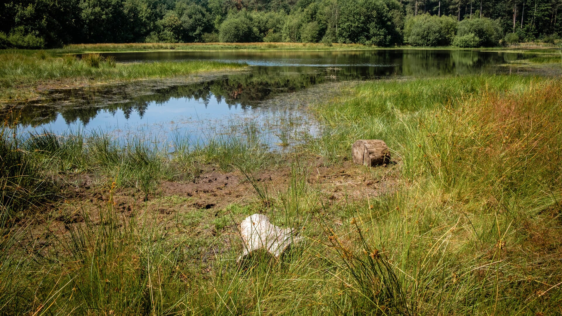 Wandelen door het verleden van De Doorbraak