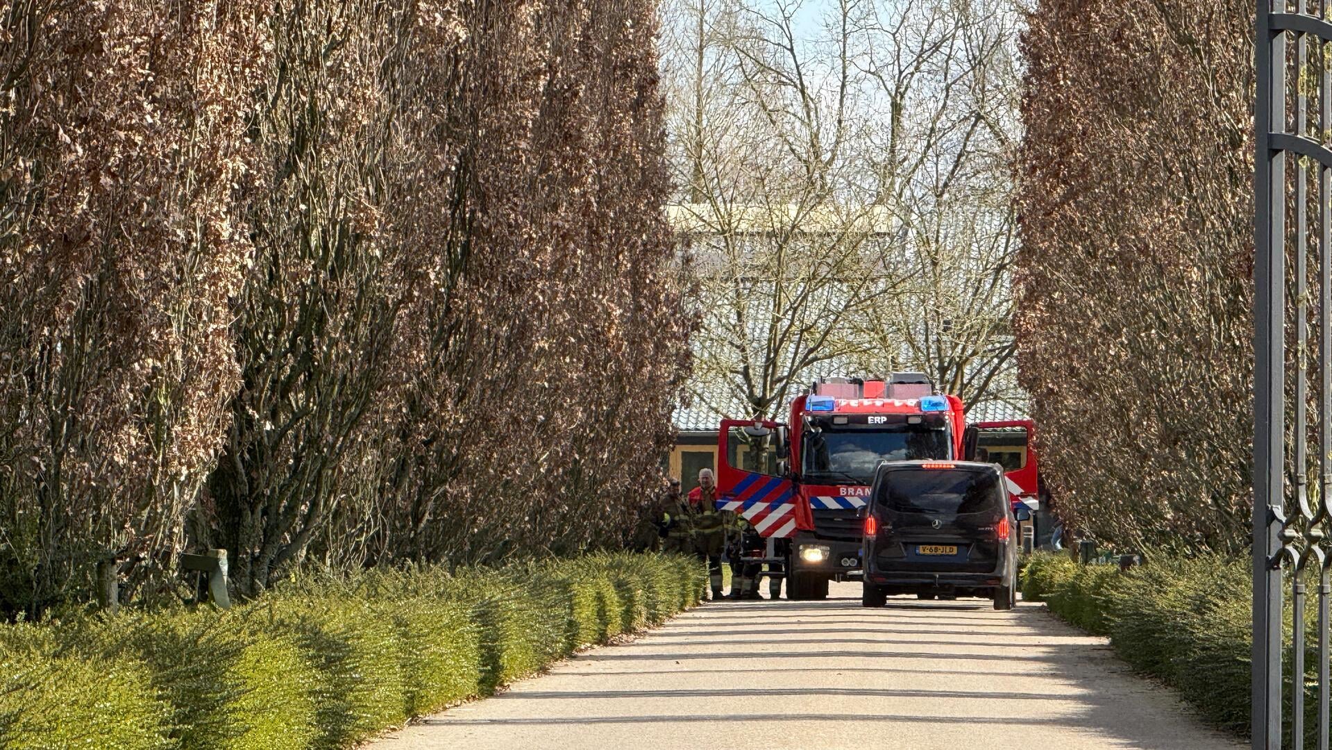 Paard in de problemen in Erp