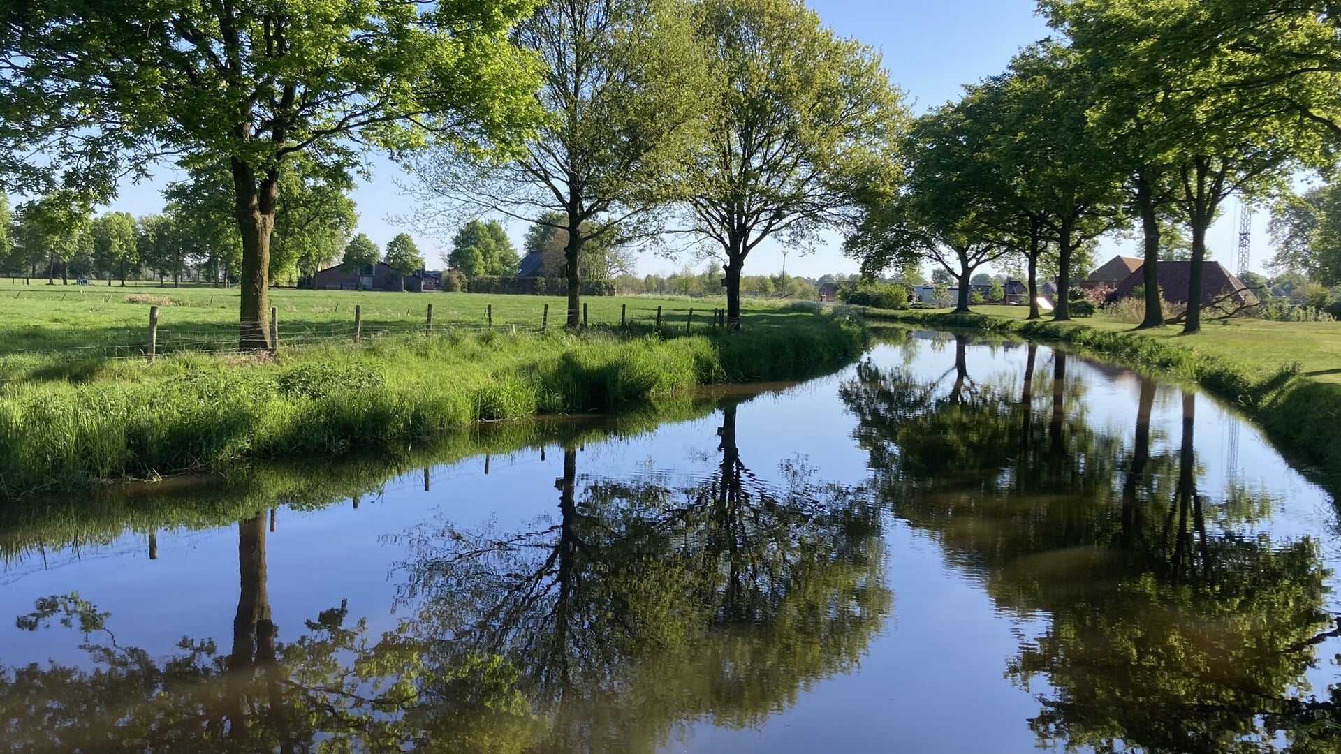 Foto(’s) van de Week!