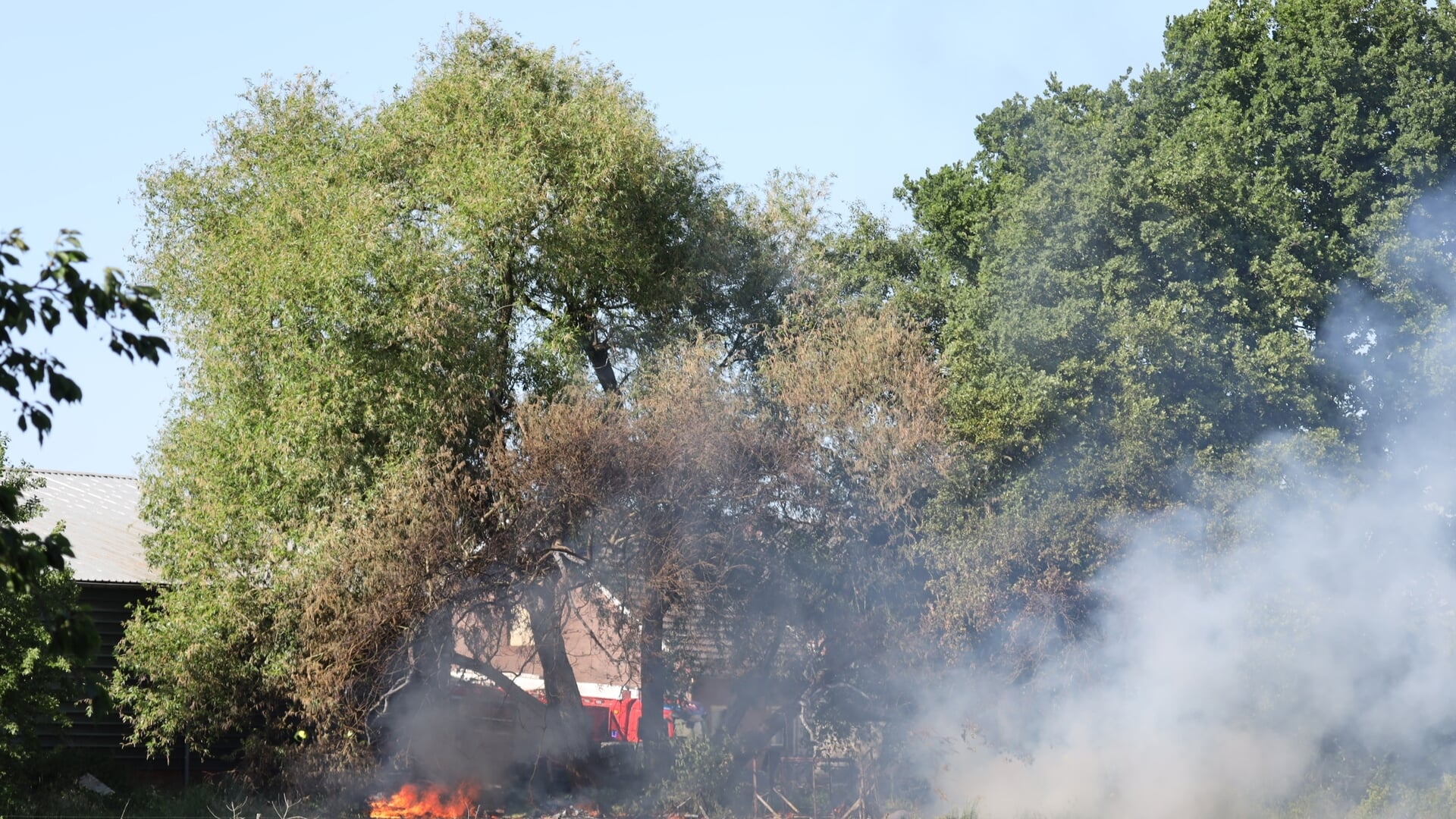 Boom, struiken en kas in brand bij Vianen