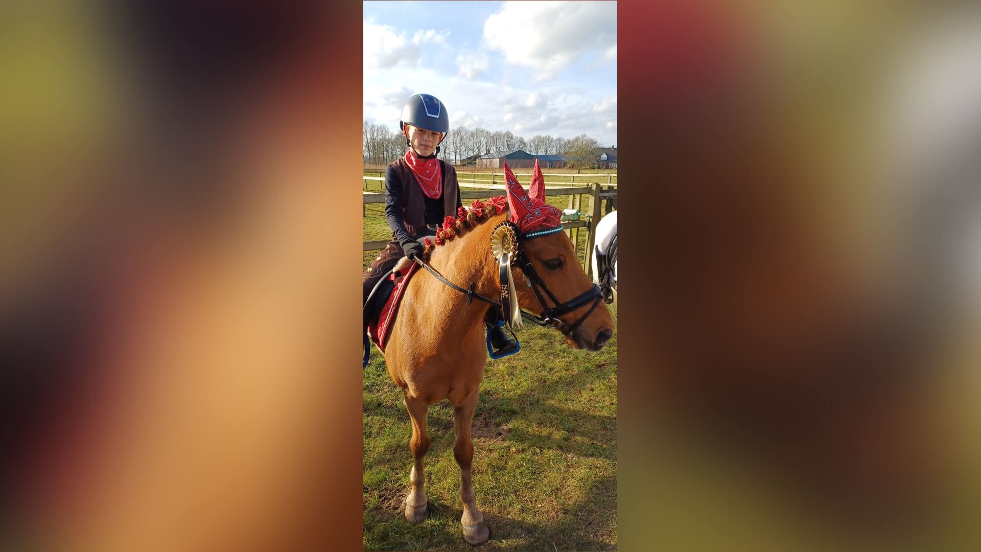 Ruitersport op De Leinse Hoefslag in Zijtaart
