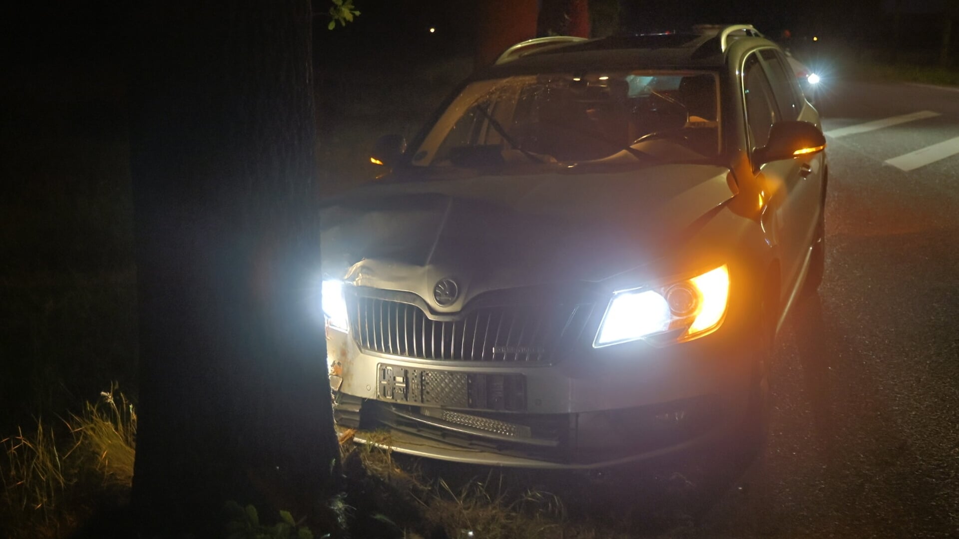 Ree steekt over automobilist botst op boom Wanroij