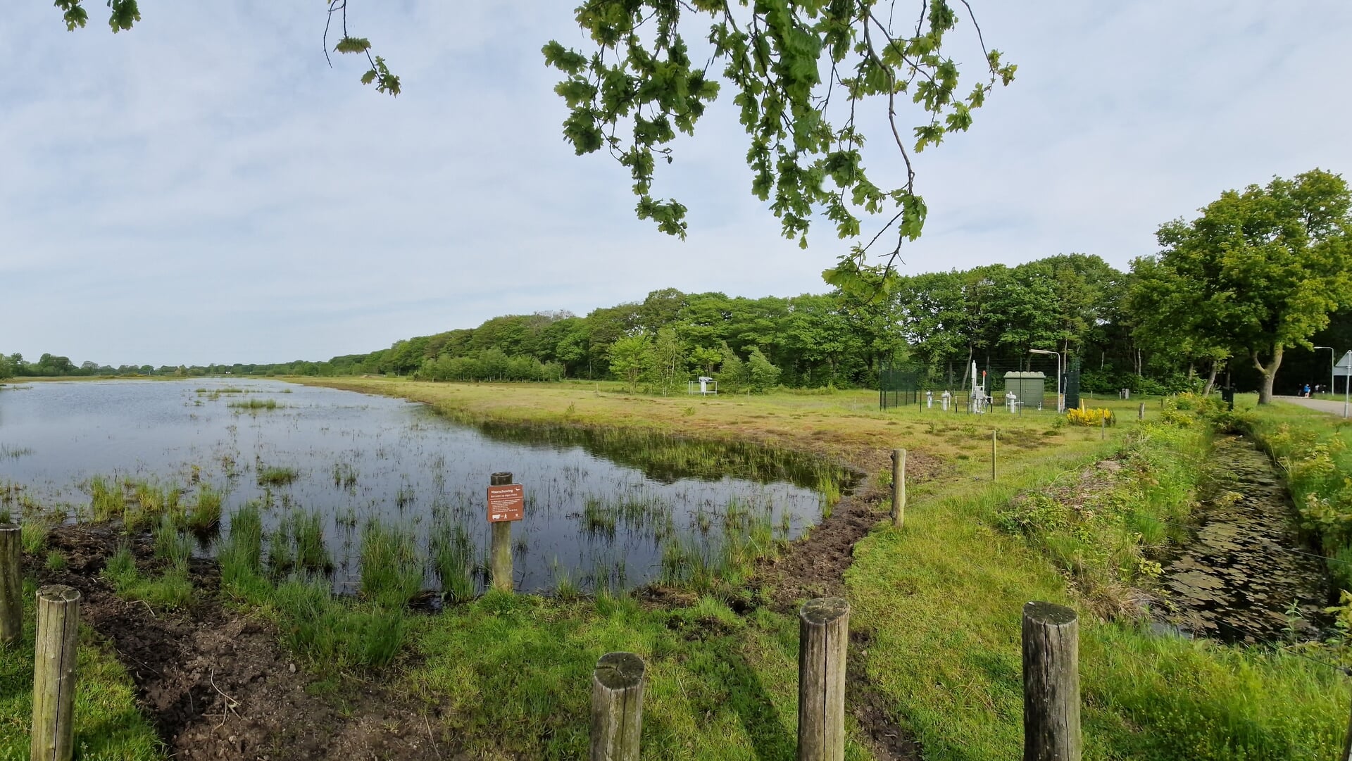 Natuurwandeling door de Rijsvennen met IVN Oss
