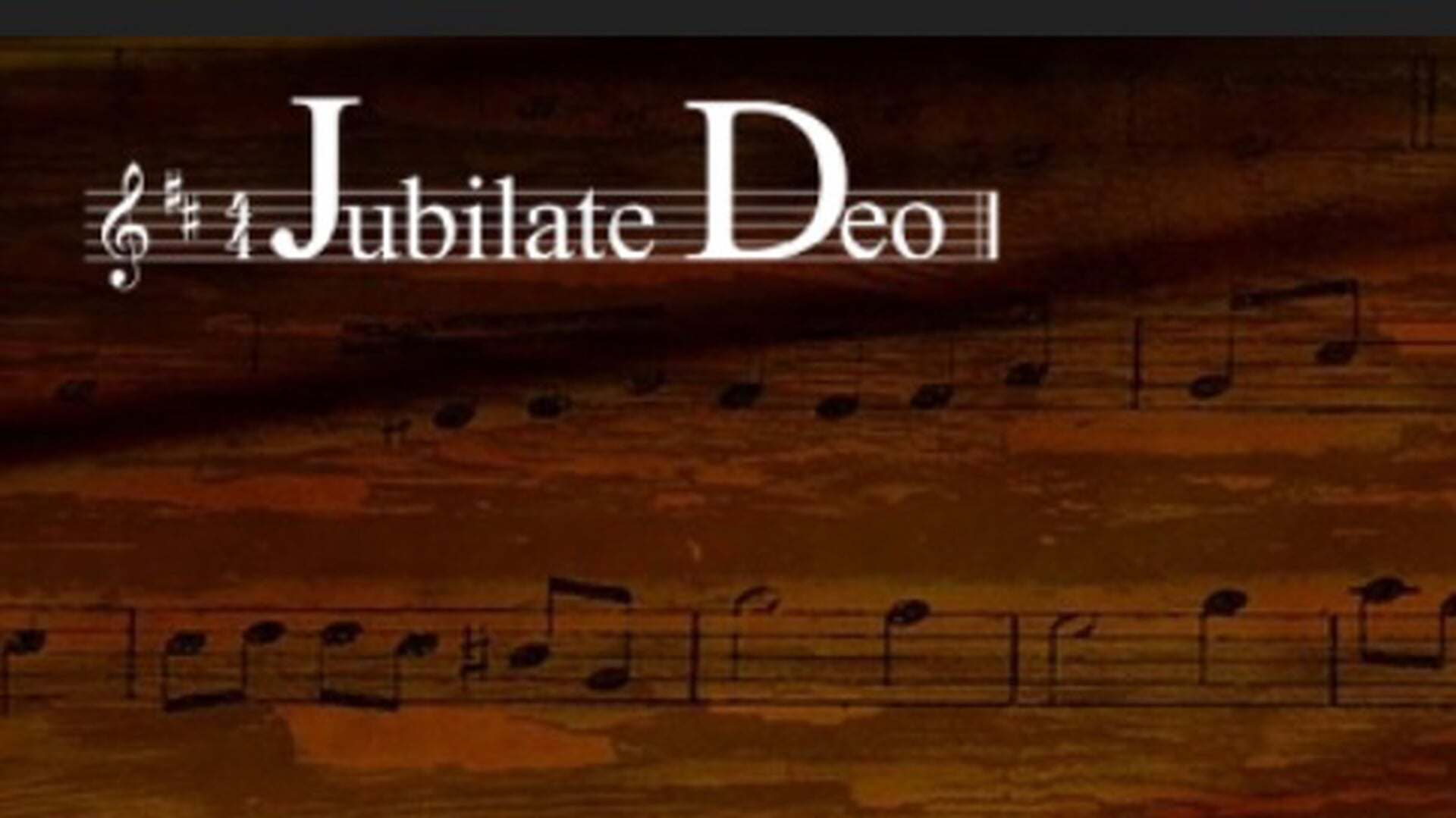 Jubilate Deo zoekt Projectleden