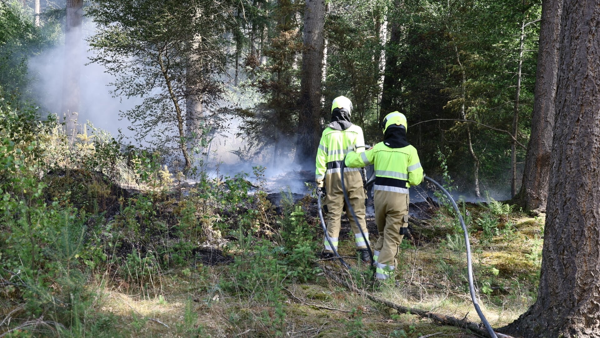 Brand in bos bij Schaartven Overloon