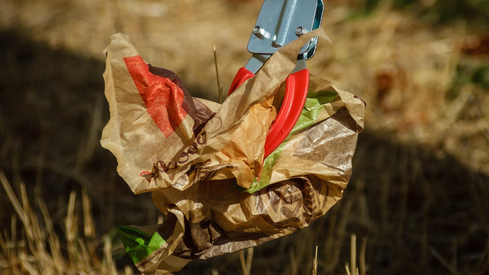 Schadewijk Schoon steekt handen uit de mouwen voor schone buurt