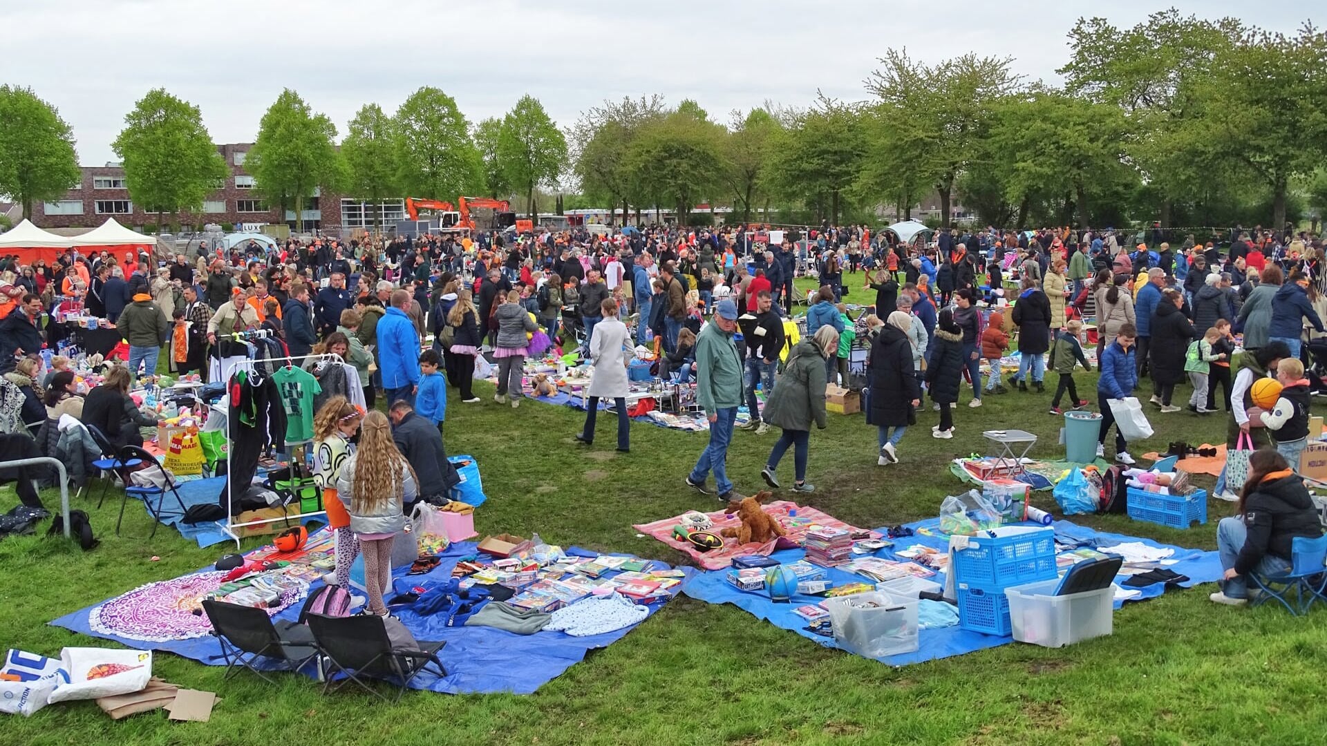 Koningsdag 2025: Zeewolde viert samen feest!