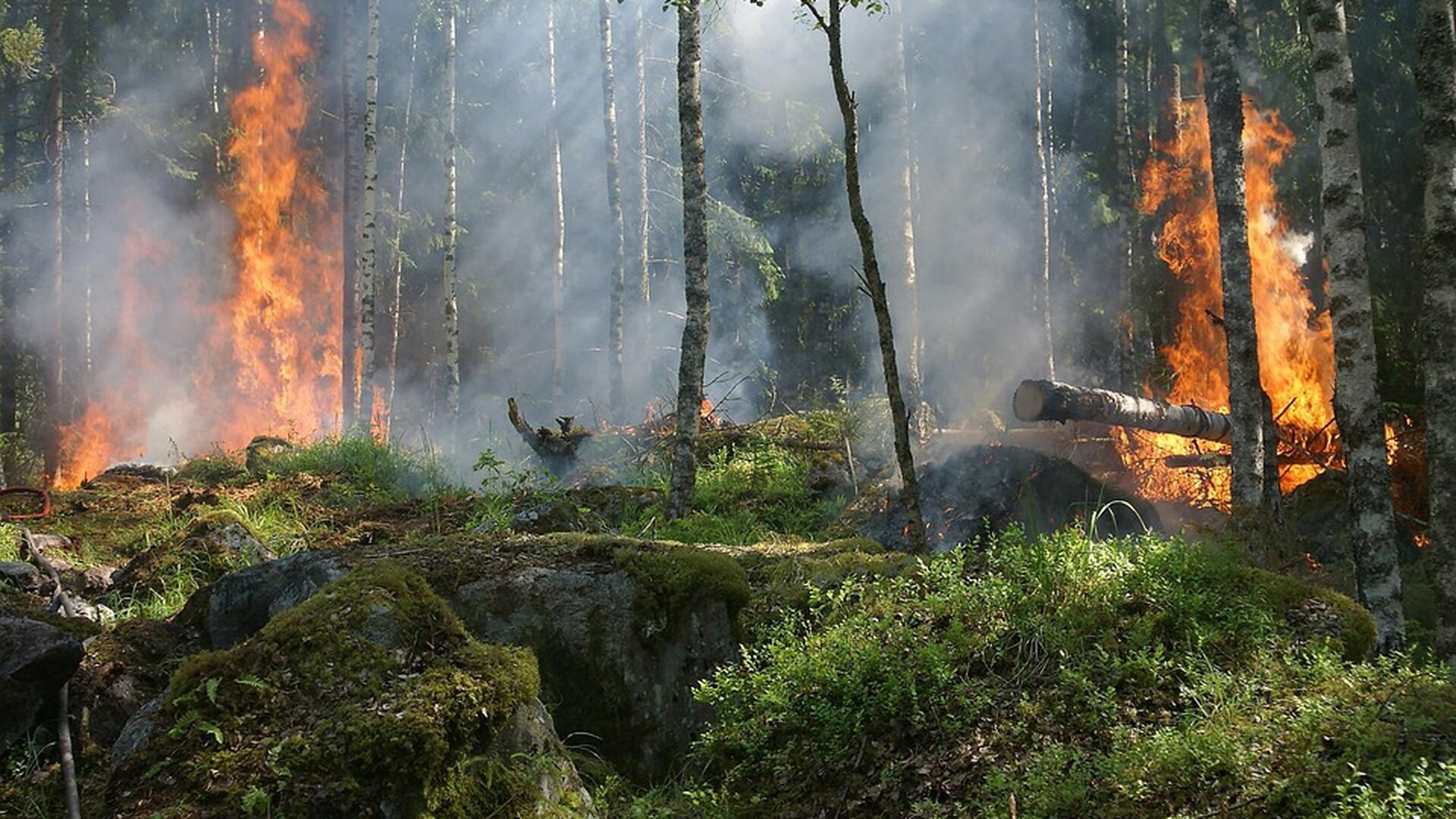 Drentse aftrap landelijke campagne ‘Voorkomen van vuur, is jouw natuur’
