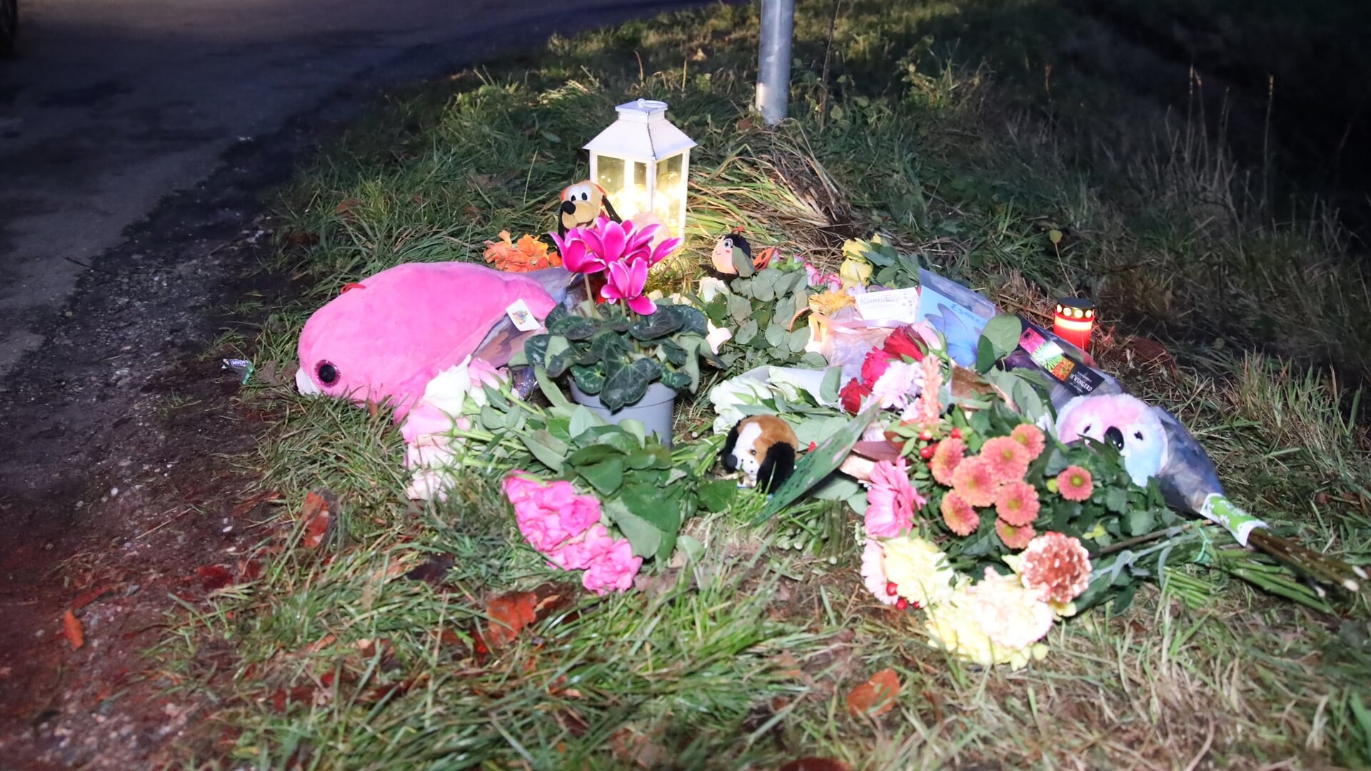 Celstraf, rijverbod en tbs geëist tegen chauffeuse van fataal ongeluk Sint Anthonis