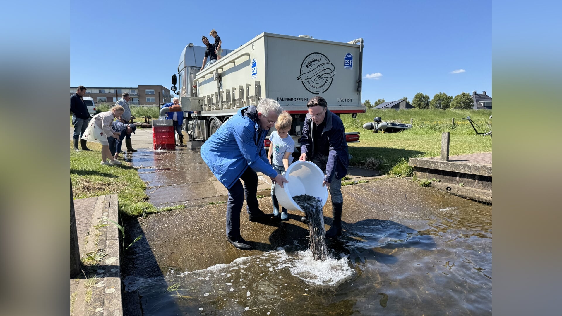 56.000 jonge palingen uitgezet in Kampen en Zwartewaterland