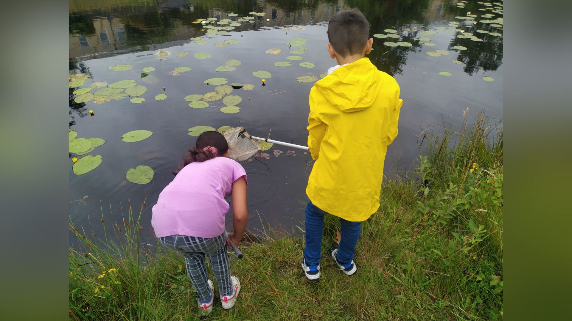 Vier Slootjesdag met een Onderwatersafari in de Weerribben