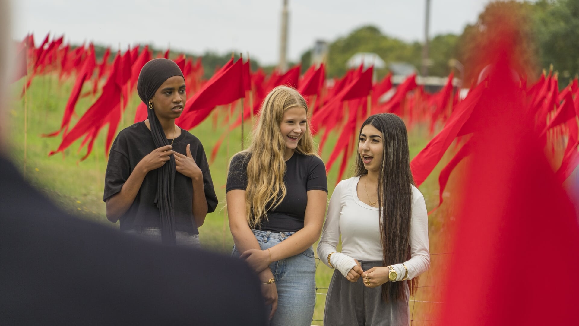 Indrukwekkend vlaggenproject kleurt Vlagheide rood