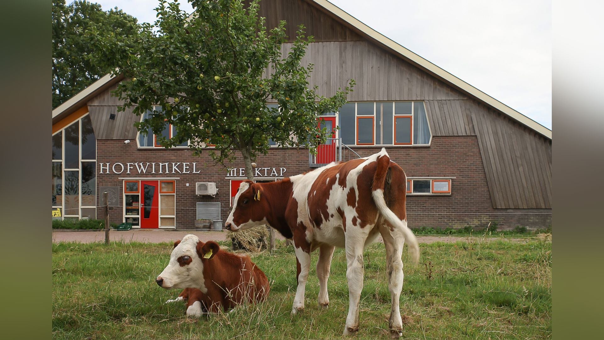 Hofwinkel verkozen tot de Beste Boerderijwinkel van Flevoland